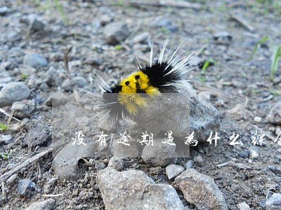 没有逾期过为什么综合信用分不足 没有逾期过为什么综合信用分不足