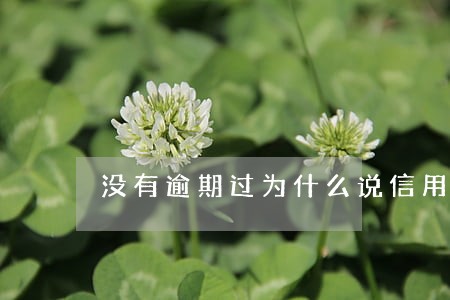 没有逾期过为什么说信用不良好 没有逾期过为什么说信用不良好