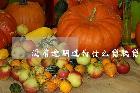 没有逾期过为什么贷款贷不了 没有逾期过为什么贷款贷不了