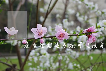 没有逾期过多就可以恢复征信 没有逾期过多就可以恢复征信
