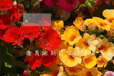 没有逾期过征信不良怎么回事 没有逾期过征信不良怎么回事