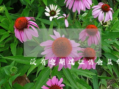 没有逾期过征信会显示吗 没有逾期过征信会显示吗