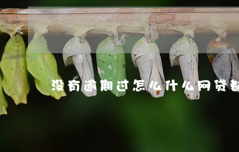 没有逾期过怎么什么网贷都通不过 没有逾期过怎么什么网贷都通不过