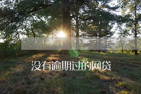 没有逾期过的网贷 没有逾期过的网贷