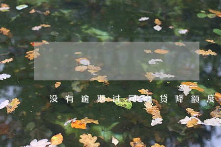 没有逾期过网商贷降额度了