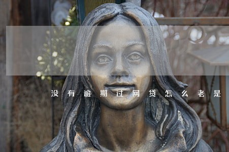 没有逾期过网贷怎么老是拒 没有逾期过网贷怎么老是拒