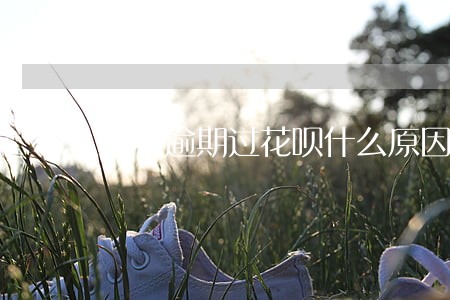没有逾期过花呗什么原因冻结 没有逾期过花呗什么原因冻结