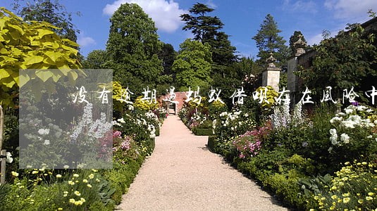 没有逾期过蚂蚁借呗存在风险中断 没有逾期过蚂蚁借呗存在风险中断
