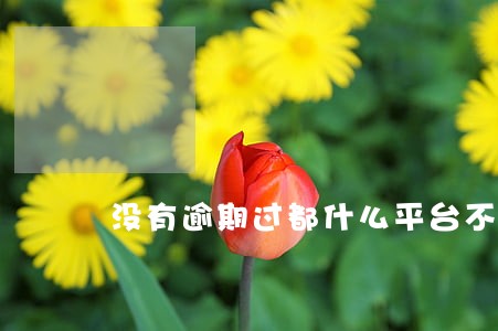 没有逾期过都什么平台不能借了 没有逾期过都什么平台不能借了