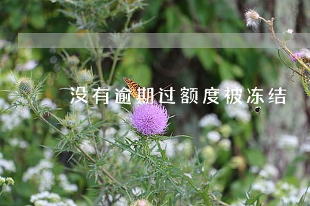 没有逾期过额度被冻结 没有逾期过额度被冻结