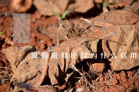 没有逾期还款为什么信用不足 没有逾期还款为什么信用不足