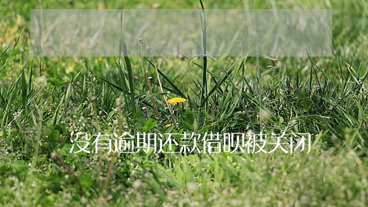 没有逾期还款借呗被关闭 没有逾期还款借呗被关闭