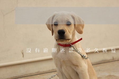 没有逾期还款完多久恢复征信 没有逾期还款完多久恢复征信