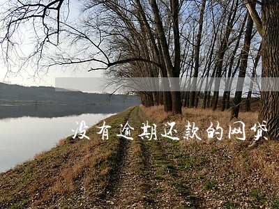 没有逾期还款的网贷 没有逾期还款的网贷