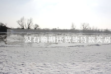 没有逾期还款能贷款买房吗 没有逾期还款能贷款买房吗