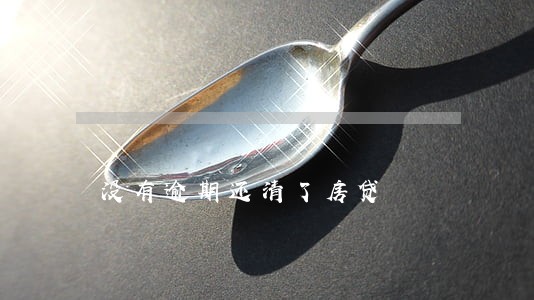 没有逾期还清了房贷 没有逾期还清了房贷