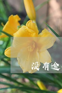 没有逾期还清征信有记录吗 没有逾期还清征信有记录吗