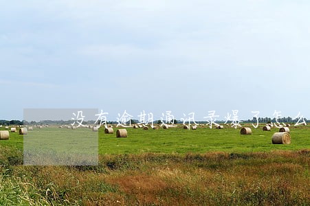 没有逾期通讯录爆了怎么办 没有逾期通讯录爆了怎么办