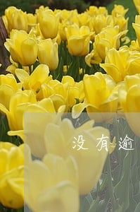 没有逾期金条突然借不了了 没有逾期金条突然借不了了
