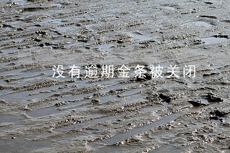 没有逾期金条被关闭 没有逾期金条被关闭