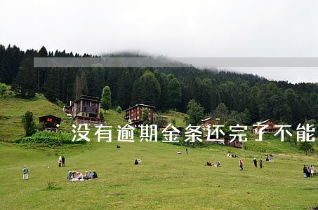 没有逾期金条还完了不能用了 没有逾期金条还完了不能用了