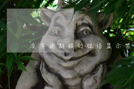 没有逾期银行征信显示禁入