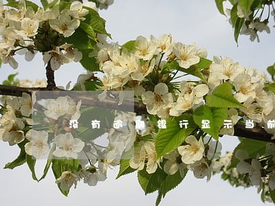 没有逾期银行显示当前逾期 没有逾期银行显示当前逾期