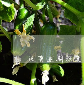 没有逾期额度怎么查 没有逾期额度怎么查