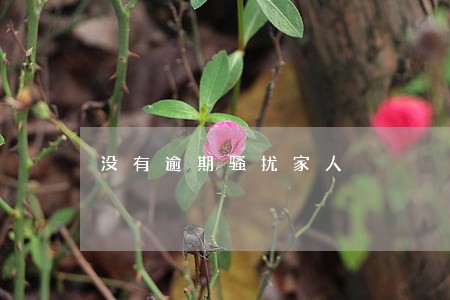 没有逾期骚扰家人 没有逾期骚扰家人