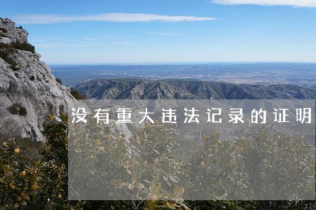 没有重大违法记录的证明文件 没有重大违法记录的证明文件