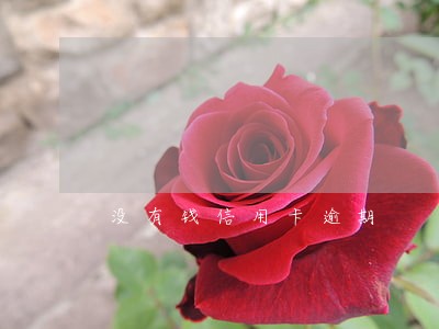 没有钱信用卡逾期 没有钱信用卡逾期