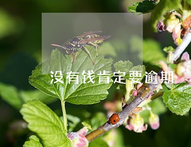 没有钱肯定要逾期 没有钱肯定要逾期