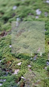 没有钱还信用卡逾期了 没有钱还信用卡逾期了
