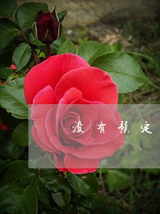 没有预定利息逾期利息计算 没有预定利息逾期利息计算