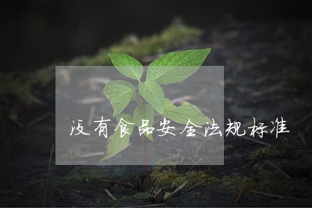 没有食品安全法规标准