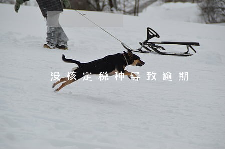 没核定税种导致逾期 没核定税种导致逾期