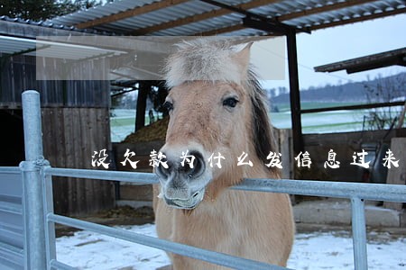 没欠款为什么发信息过来说逾期 没欠款为什么发信息过来说逾期