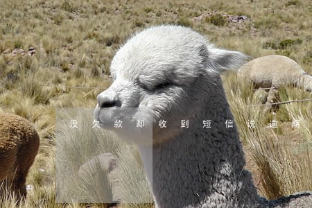 没欠款却收到短信说逾期了 没欠款却收到短信说逾期了