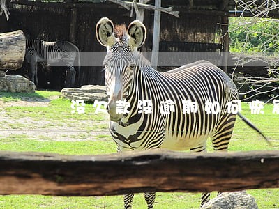 没欠款没逾期如何恢复额度