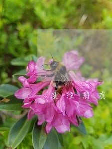 没注册有钱花怎么会通知逾期 没注册有钱花怎么会通知逾期