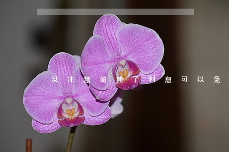 没注意逾期了利息可以免掉吗
