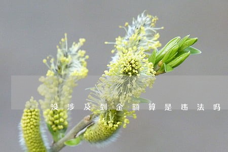 没涉及到金额算是违法吗 没涉及到金额算是违法吗