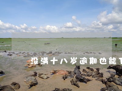 没满十八岁逾期也能下款的小贷