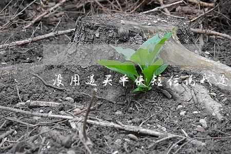 没用过买单侠短信说我逾期 没用过买单侠短信说我逾期