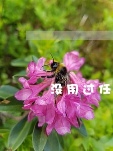 没用过任性付通知逾期 没用过任性付通知逾期