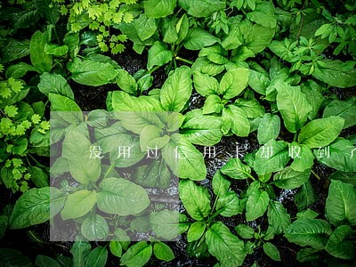 没用过信用卡却收到了逾期短信 没用过信用卡却收到了逾期短信