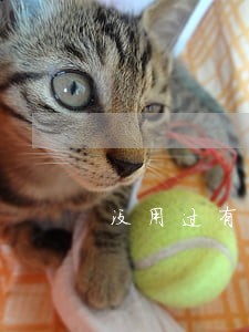 没用过有钱花为什么逾期