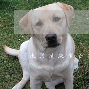 没用过现金贷为什么说逾期了