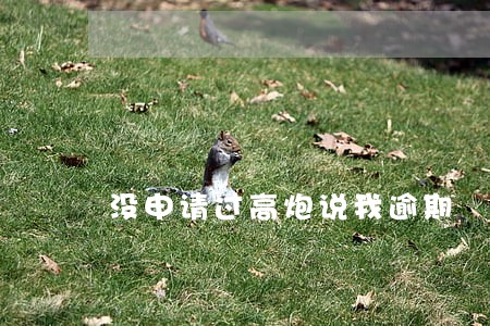 没申请过高炮说我逾期 没申请过高炮说我逾期