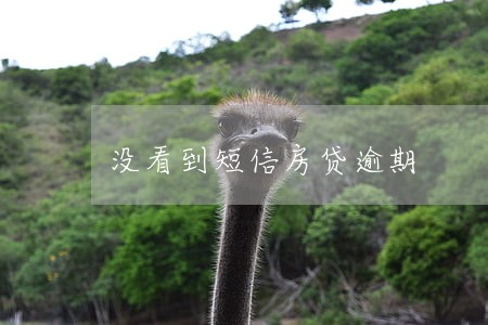没看到短信房贷逾期 没看到短信房贷逾期